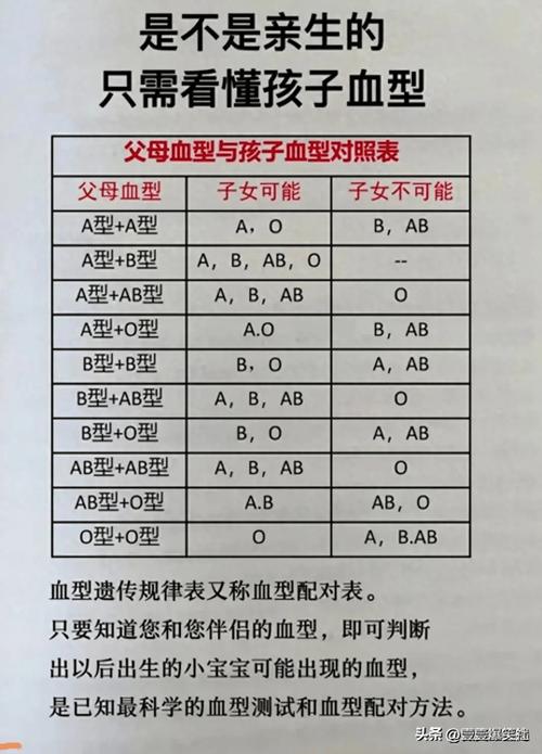  血型选择