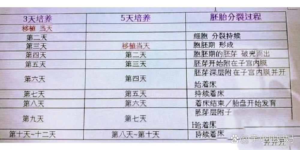 囊胚保存时间
