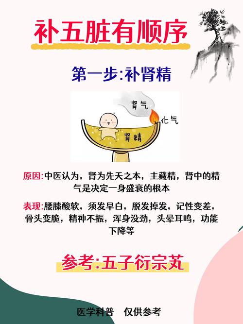 补肾健脾