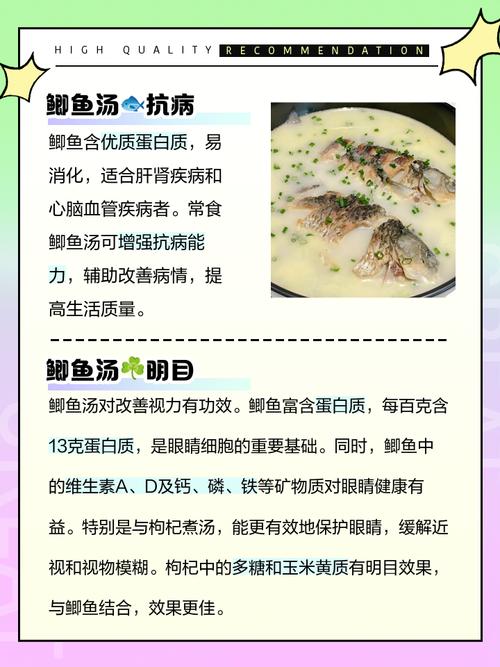 试管期间能否饮用鲫鱼汤？详解营养与风险