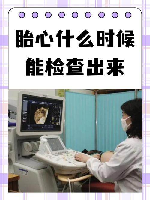  胚胎检测
