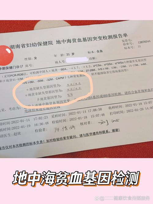 试管检查中是否包含地中海贫血的检测？
