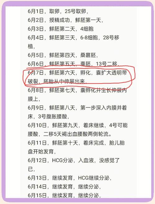 试管移植后情绪波动明显，该如何调整心态？