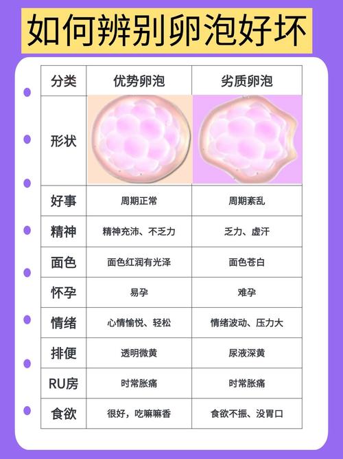 45个卵泡