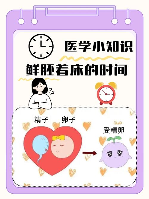 试管婴儿过程中，多久才算安全度过危险期？