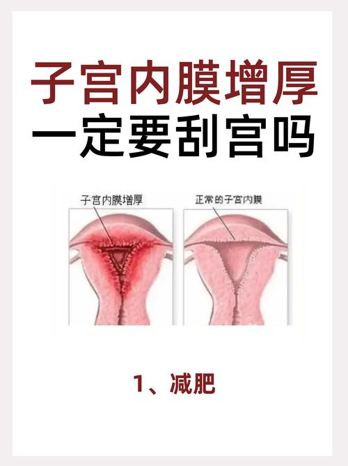 内膜增长