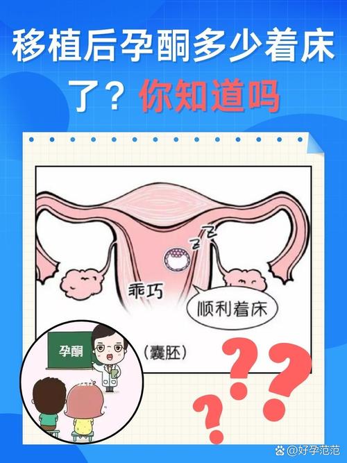 试管移植后孕酮低是否正常？教您科学解读