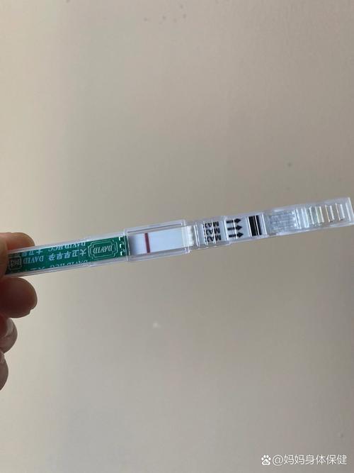 移植第4天