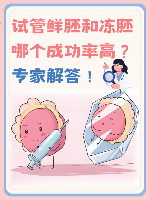 试管婴儿为何选择冷冻技术？深度解析其优势与必要性