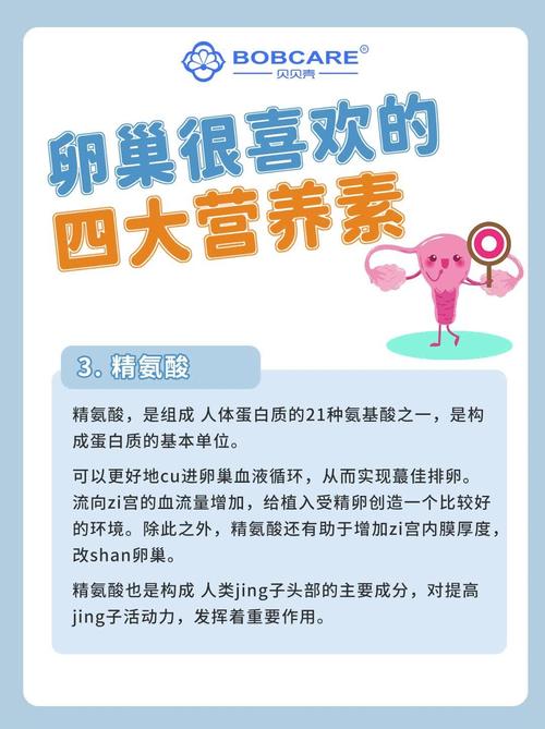 卵巢健康如何影响试管婴儿成功率？