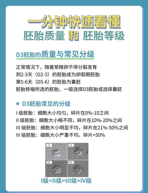 如何正确判断试管胚胎的级别与质量？
