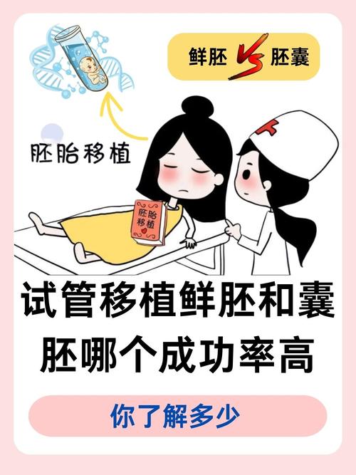 试管成功率50%在现代医学中算高吗？