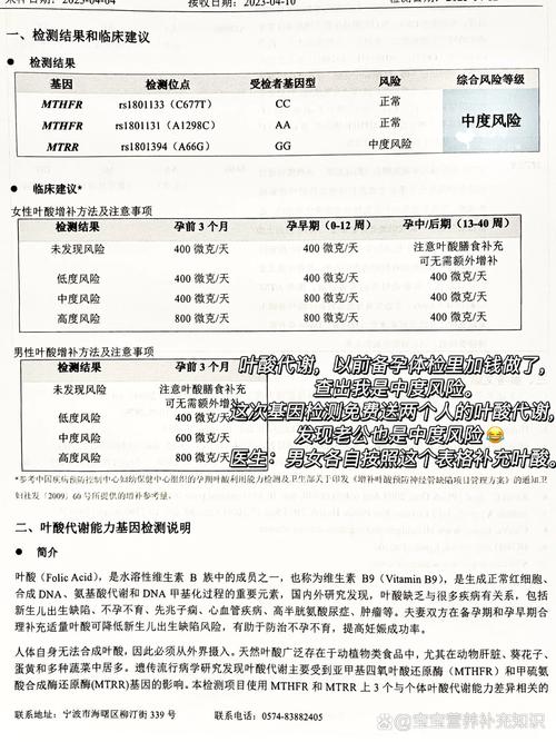 试管婴儿多次失败后，如何通过叶酸基因检测提升成功率？