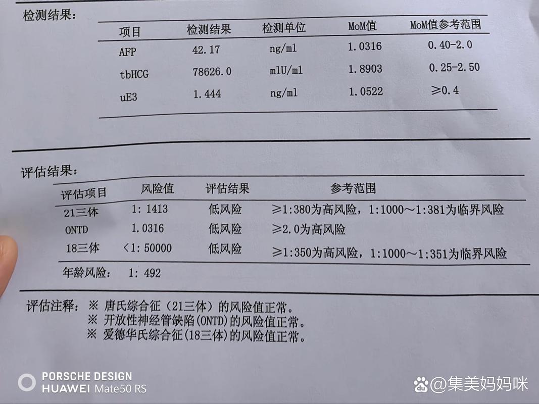  筛查结果