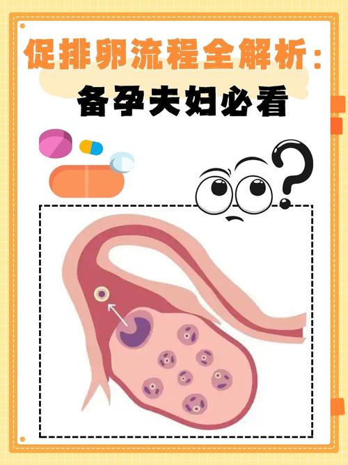 促排卵预处理