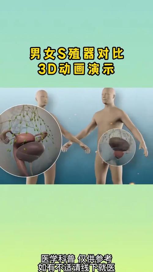  国外生殖技术