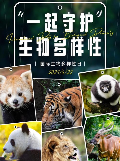  生物多样性