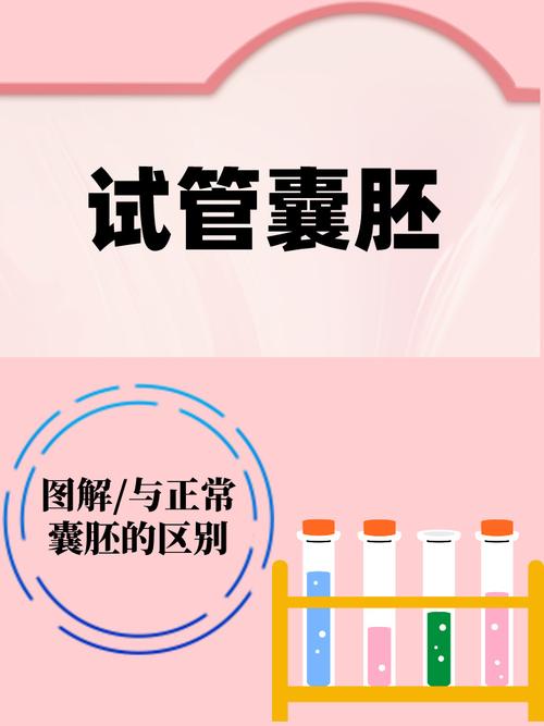 试管囊胚