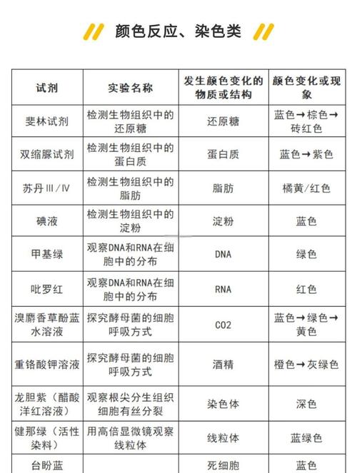 如何选择适合的核酸检测试剂试管？