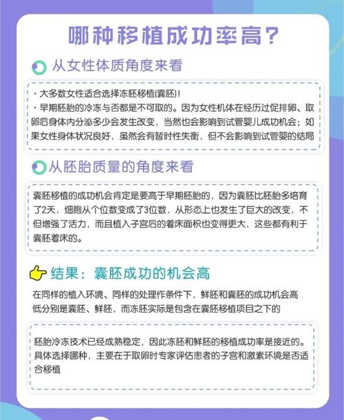囊胚影响因素