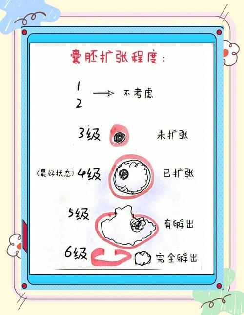 胚胎质量指数