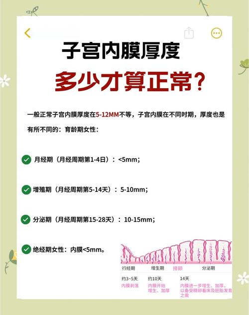 内膜厚度1.2