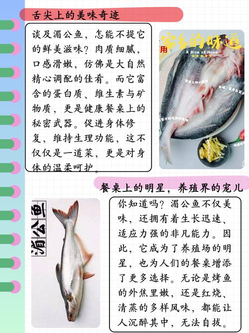 外形特点