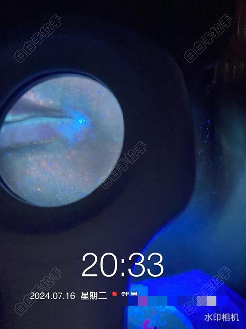 移植后半个月