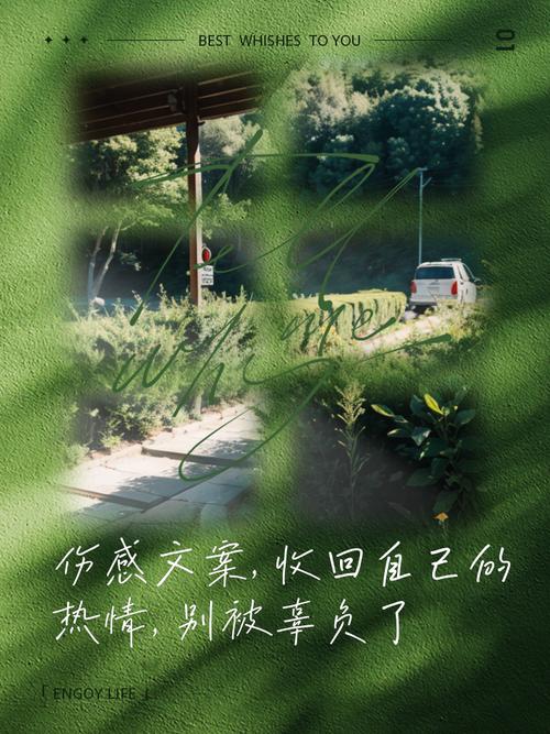 就是上面用 ``` 括起来的文本内容。这段文案存在重复内容的问题：视频的文案输出了两次一样的。
您的任务是：仔细阅读整个文案
