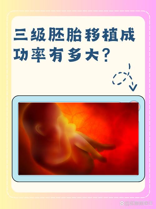 三级试管婴儿