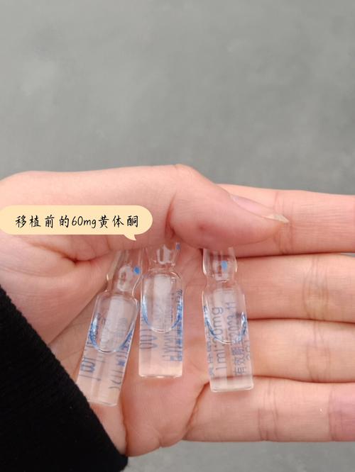 一管双囊胚