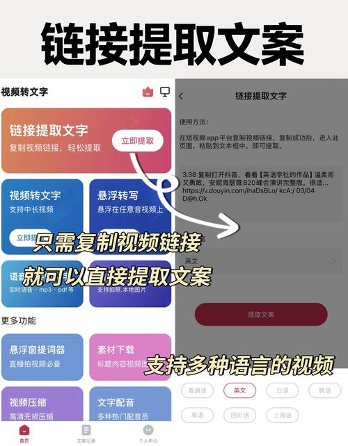 视频文案提取