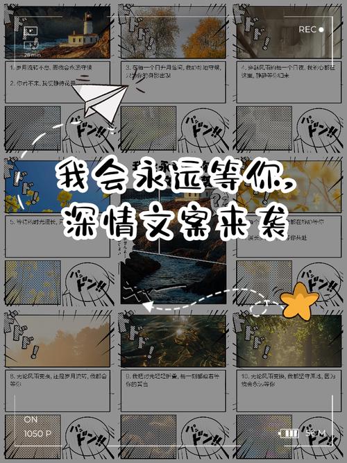 我会在您发送文案后
