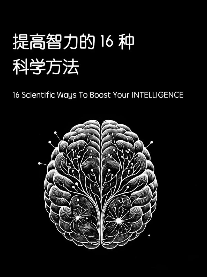  智力提高