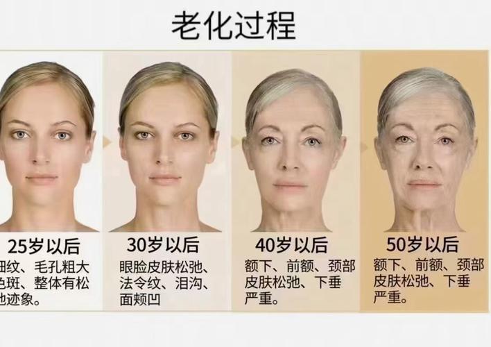  女性衰老