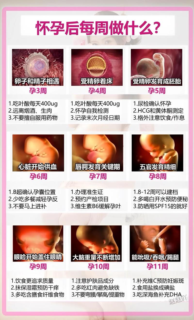 孕育经验