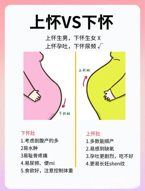 受孕方式对比