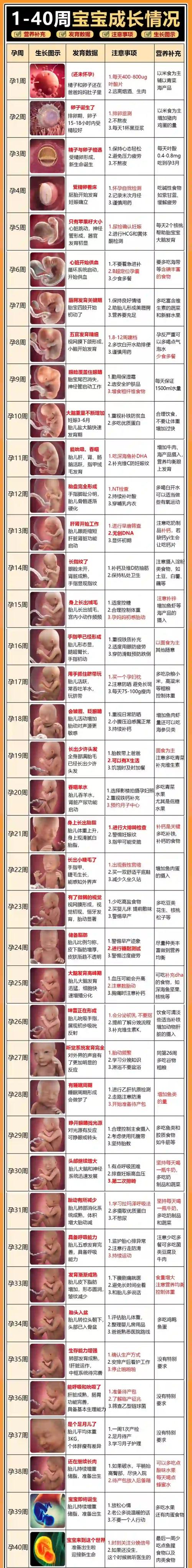 孕7周