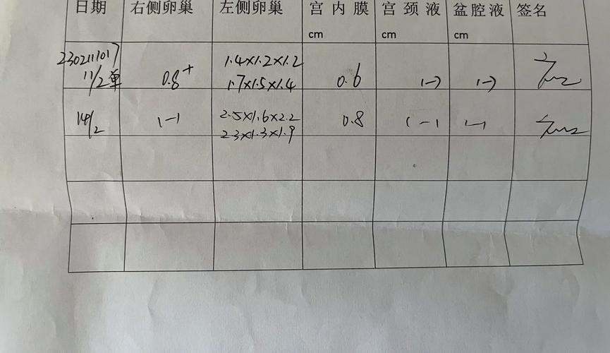 卵泡成熟值