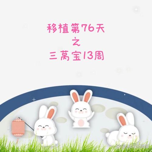 移植13周