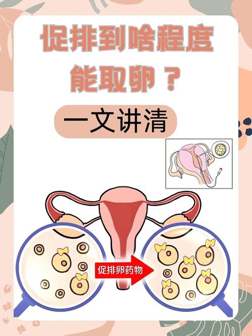 连续促排技术
