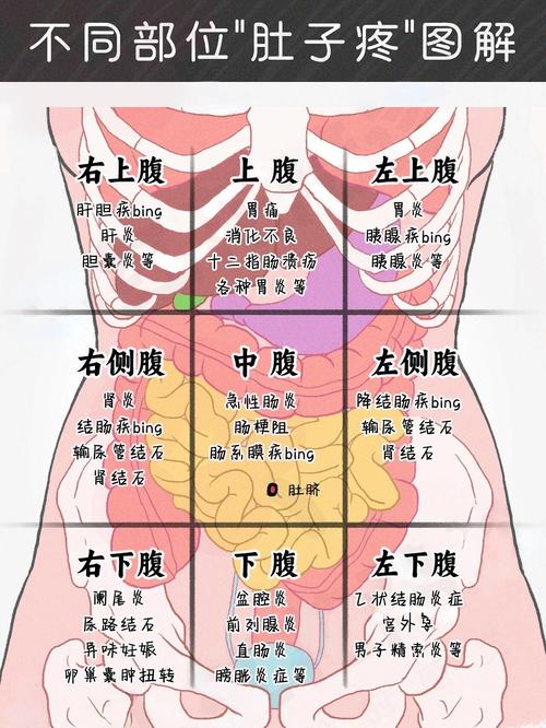 腹痛解析