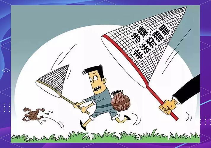 非法行为