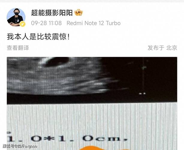 6 周 B 超单