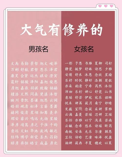 取名指南