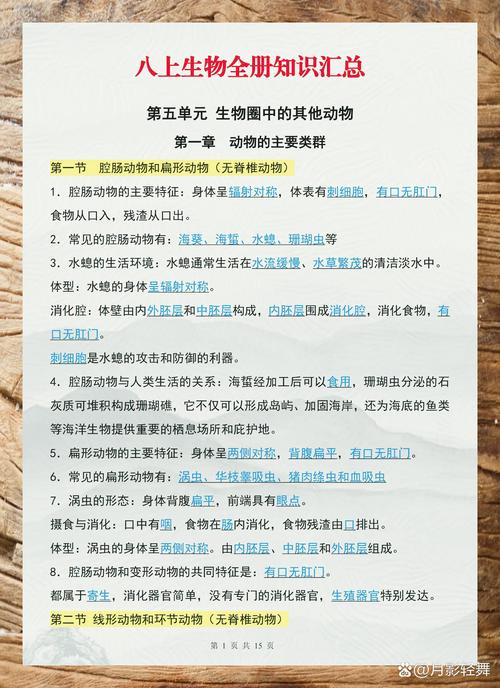 给出精炼且准确的总结。