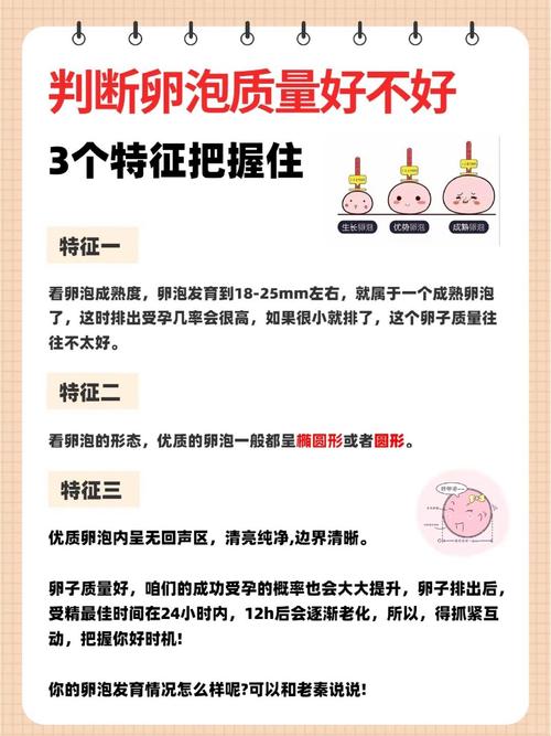 卵泡标准