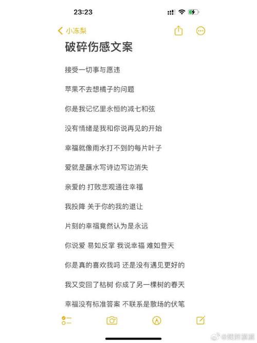 然后筛选出来一个完整且不重复的文案；剔除所有重复的部分。

第二：如果筛选后的文本缺乏适当的中文标点符号