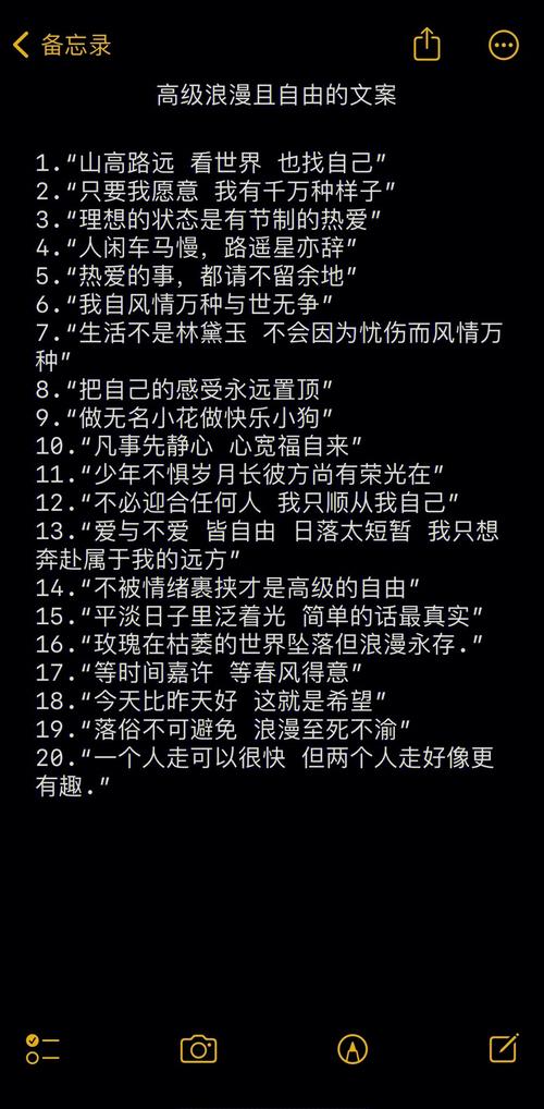 给出一个完整且不重复的文案核心总结。