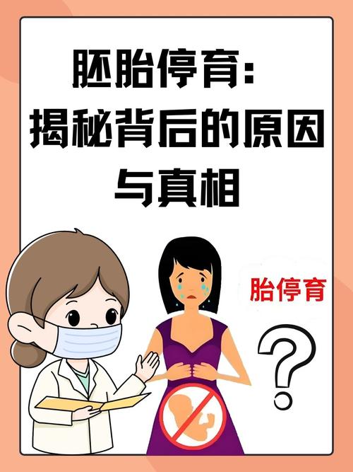 多次胚胎停育